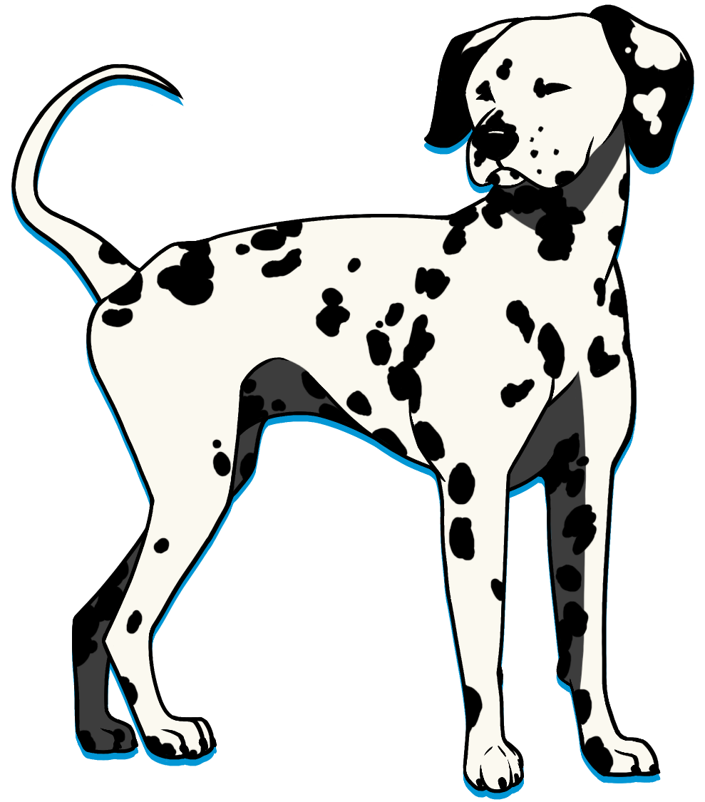 A black and white Dalmatian standing up; it has a blue solid drop shadow